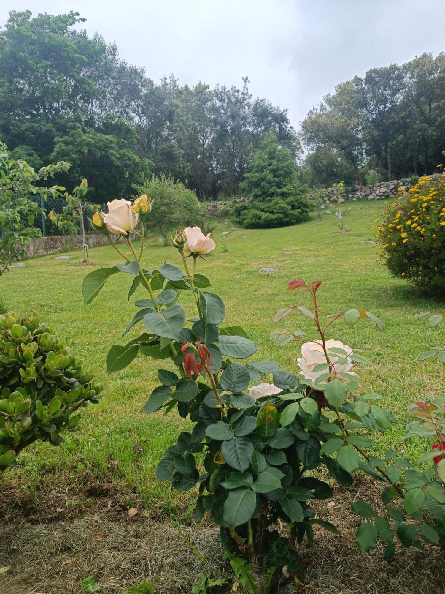Casa Coba Villa Camijanes Bagian luar foto