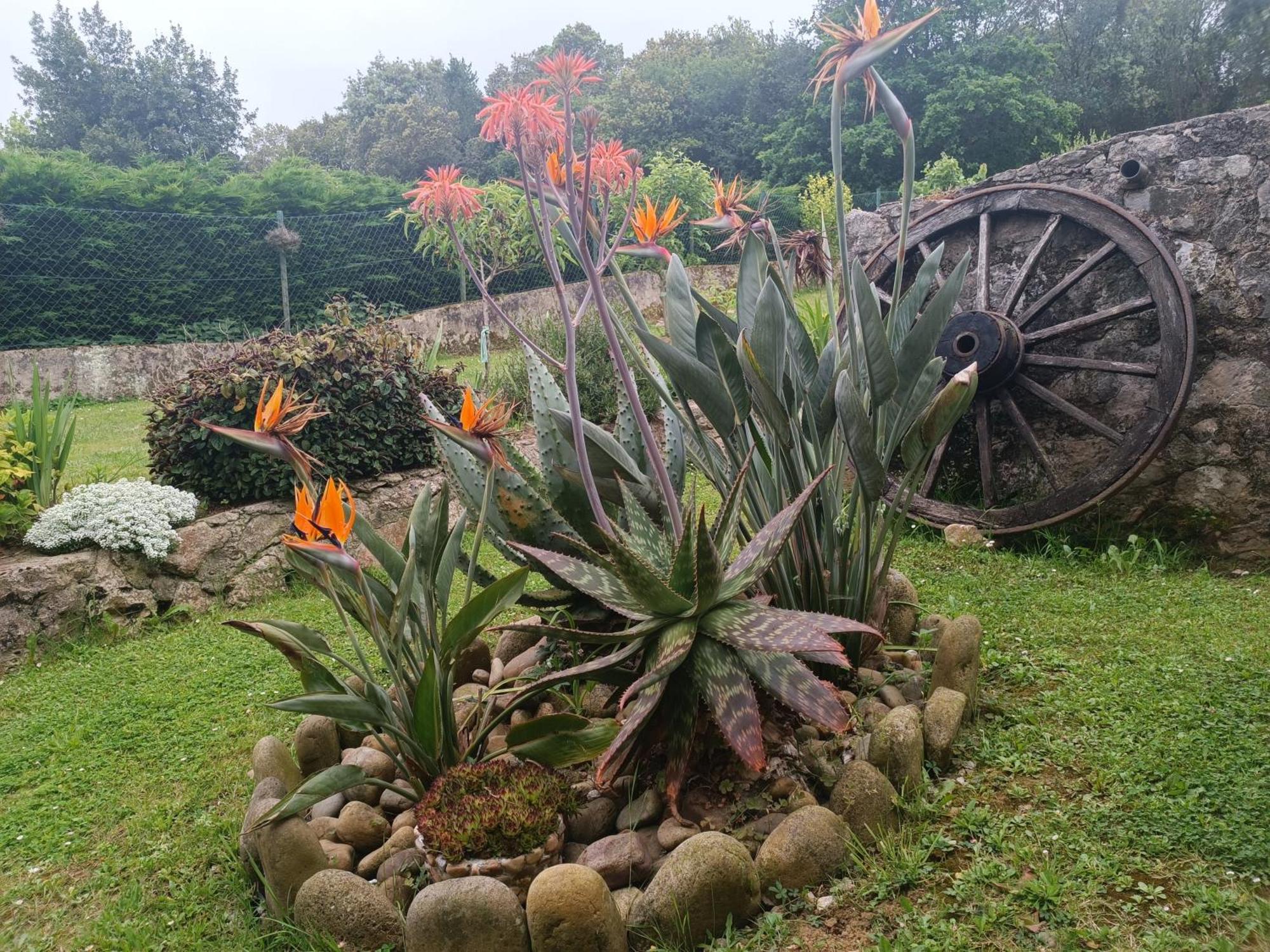 Casa Coba Villa Camijanes Bagian luar foto